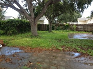 Grounds Before