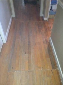 Wood Floors Before