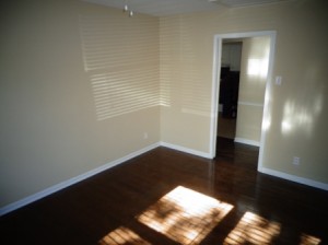 Paint/Floors After